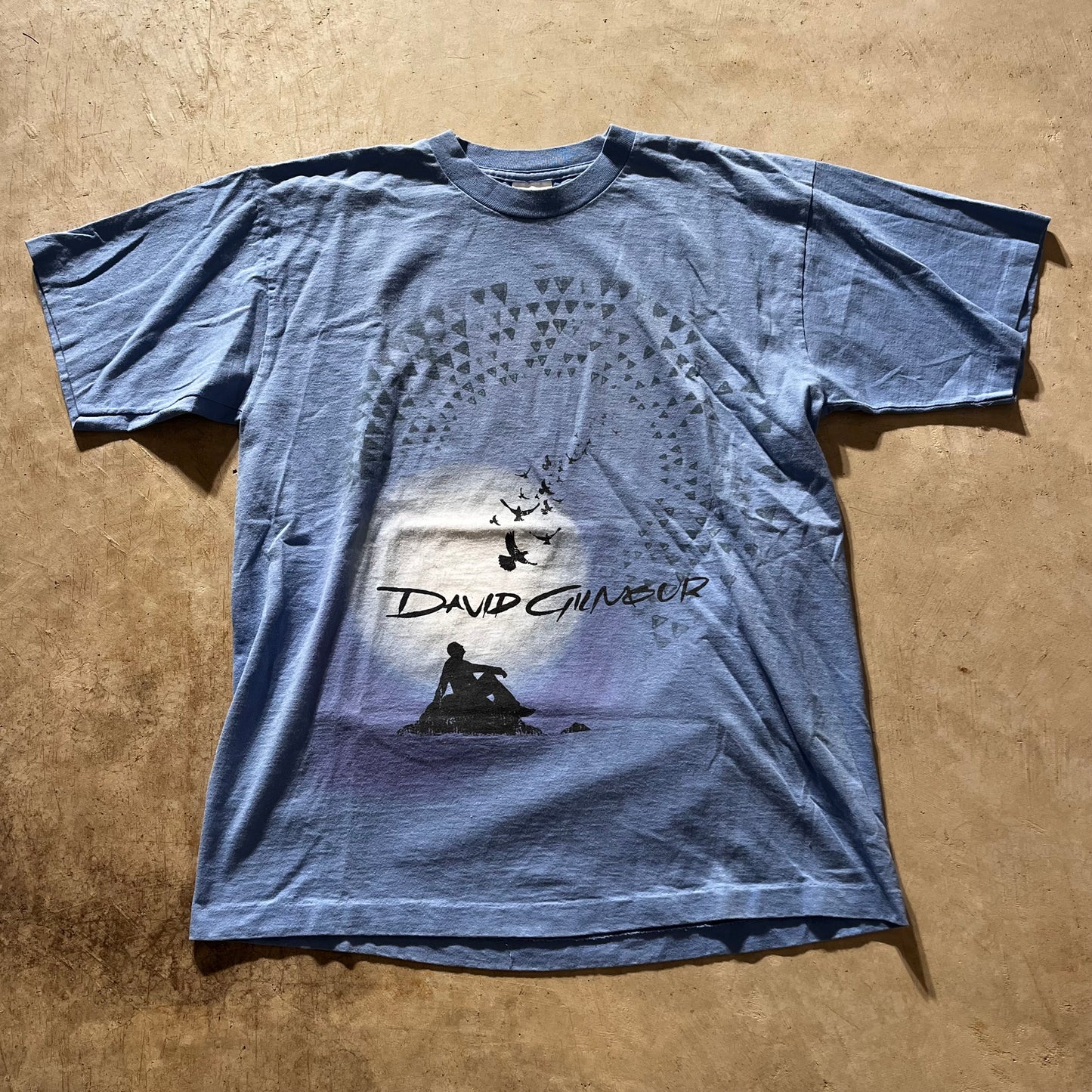 David Gilmour Band Tee-L